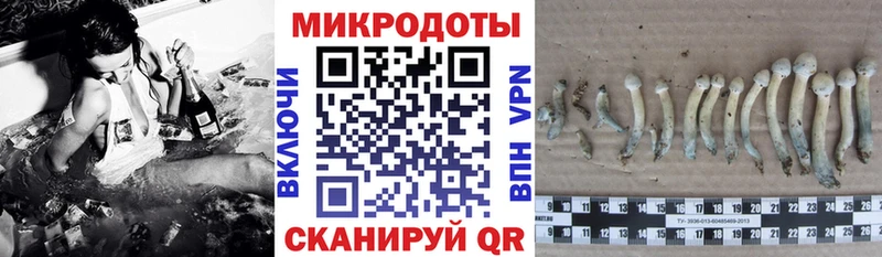 Псилоцибиновые грибы GOLDEN TEACHER  Лермонтов 